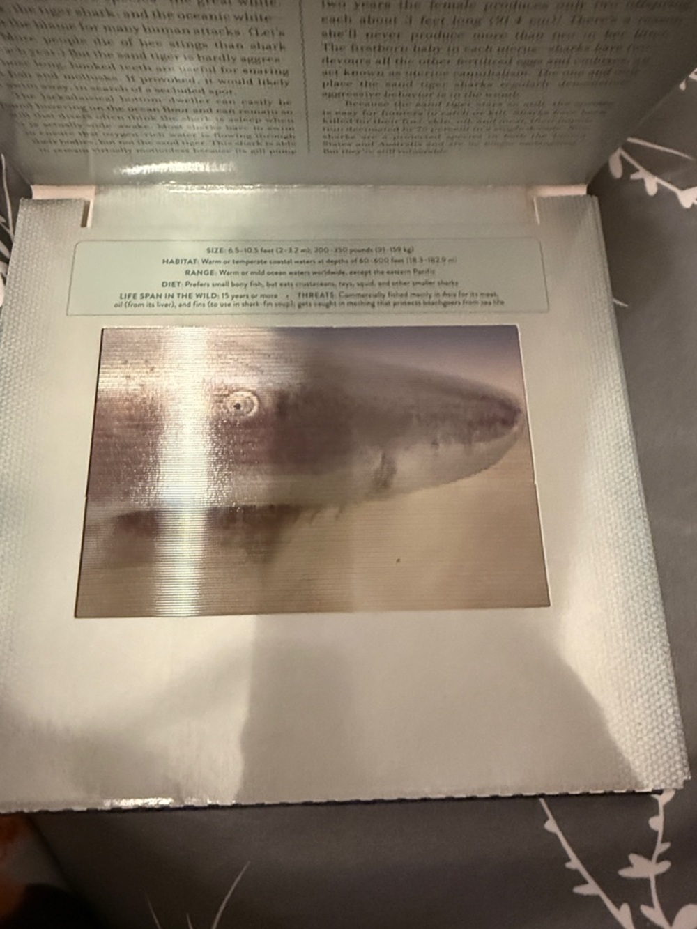 Ocean Photicular Book — Blue and Teal Hardcover - Picture 4 of 9